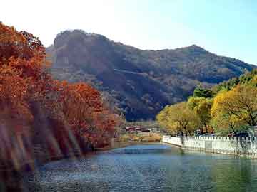 管家婆黑白马报图库，烧碱市场价格